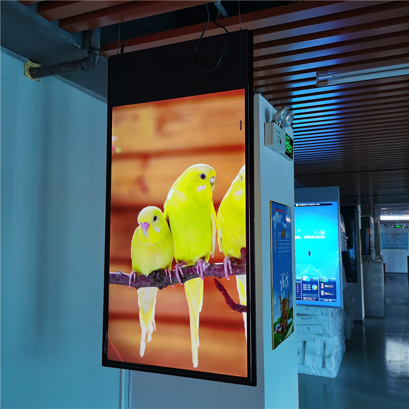 65inch Full HD Wall Mount Android Double Sided Ultra Slim LCD Display(图1)